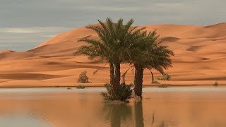 No Comment  les lacs de retour dans le désert marocain [upl. by Landre]