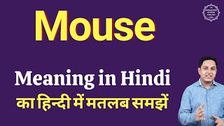 Mouse meaning in Hindi  Mouse ka kya matlab hota hai  daily use English words [upl. by Enyawed]