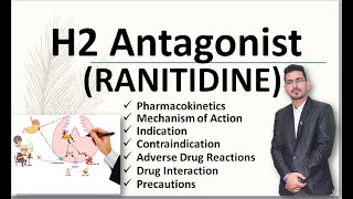 H2 Antagonist Ranitidine [upl. by Virgy]