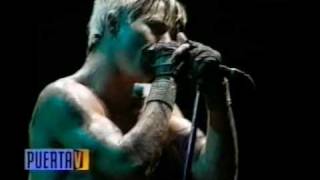 Otherside Red hot chili peppers  Argentina 2001 [upl. by Wahl493]