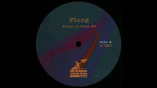 Floog  Piesa cu story Antraum Remix DCT001 [upl. by Bryana]