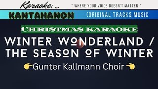 Winter Wonderland  The Season Of Winter karaoke lyrics [upl. by Eidnil]