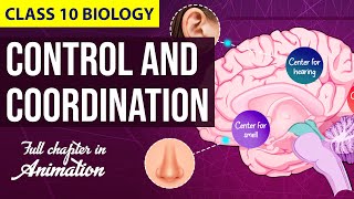 Control and Coordination Class 10 Full Chapter Animation  Class 10 Science NCERT Chapter 7  CBSE [upl. by Naujik]