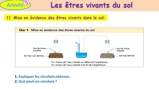 Les êtres vivants du sol svt tcsf شرح بالداريجة [upl. by Nosidam775]