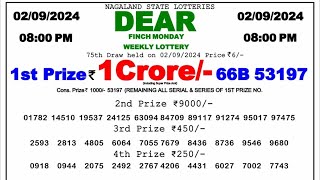 🔴 Evening 0800 PM Dear Nagaland State Live Lottery Result Today ll Date02092024 ll [upl. by Beard]