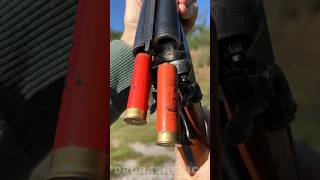 SCENT OF SHOTGUN shorts shotgun gun hunting usa 12gauge shot weapon shootingrange ammo [upl. by Elleinnad738]