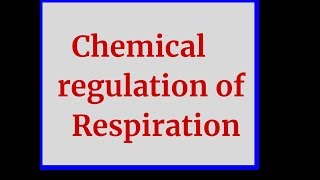 Chemical regulation of Respiration [upl. by Timothy]