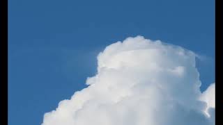 Watch how the growing cumulus overtakes a Pileus Cloud [upl. by Llenehc93]