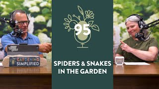 Can Plants Repel Spiders and Snakes Myths Tips and More  95 [upl. by Constancy]