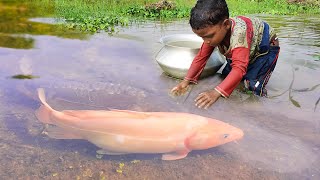 Amazing Hand Fishing Video  Traditional Catching Fish By Hand in Pond Water [upl. by Ahsenahs]