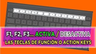 Cómo activar F1 F2 F3 Teclas de Función Function Keys Action Keys La tecla Fn [upl. by Rabassa643]