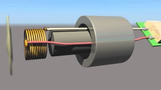 MUS 493  Dynamic Microphone  Exploded View [upl. by Dyanna]