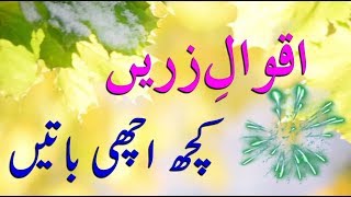 Best 13 Aqwal e Zareen in urdu  Islamic aqwal zareen  By Gold3n Wordz [upl. by Aiello902]