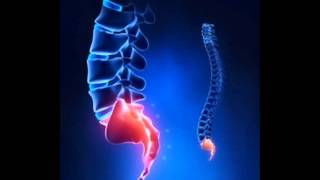 Coccyx Pain Relief Frequency Tailbone amp Spine Pain Relief Music [upl. by Clevie838]