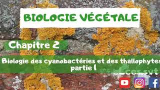 Biologie végétale  chapitre 2  Biologie des cyanobactéries et des thallophytes   Cyanobactéries [upl. by Ytirahc]