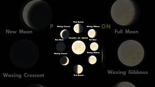 Phases of Moon  Moon  Full Moon  New Moon  Waxing Crescent  Waning Gibbous  Night Sky  Space [upl. by Siuqramed808]