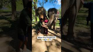 When they hugged me 🐘🥹🤗 thailand [upl. by Asennav]