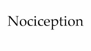 How to Pronounce Nociception [upl. by Yrffoeg]