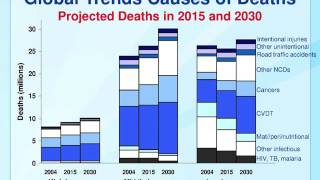 2 Overview of NCDs and Related Risk Factors  CPP NCD Epidemiology [upl. by Hannibal131]