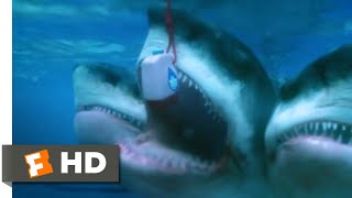 5Headed Shark Attack 2017  Exploding the Shark Scene 710  Movieclips [upl. by Weibel887]