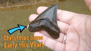 Fossil Hunt DEC 21 2015 Gift from the Potomac River [upl. by Humph]