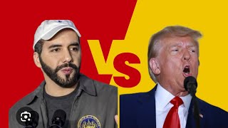 nayib bukele le contesta a Donald Trump con mucha inteligencia [upl. by Ozne]