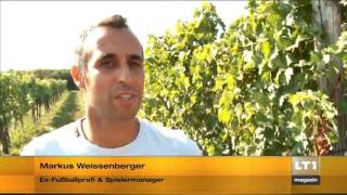 Weinlese Friends of Wagram [upl. by Anyd]