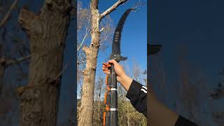 You can stand down from this argestable saw and cut down a tall tree shortvideo [upl. by Hess]