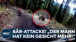 HORRORANGRIFF quotDer Mann hat kein Gesicht mehrquot Braunbär attackiert zwei Wanderer in Slowakei [upl. by Sherfield]