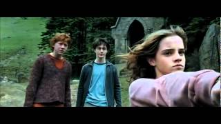 POTTER  Hermione punches Draco [upl. by Doran]