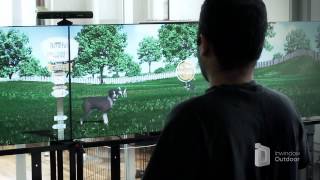 Purina Beneful brand Dog Food interactive digital signage by Inwindow Outdoor [upl. by Annayar2]