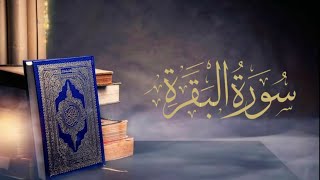 Surat AlBaqara  Saad AlGhamidi [upl. by Aylmar]