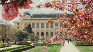 Springtime in the Jardin des Plantes  Paris Live 144 [upl. by Henri]