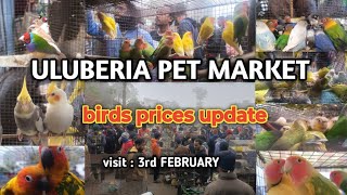 ULUBERIA PET MARKET BIRDS PRICES UPDATE  3rd FEBRUARY cheapestprice uluberiapetmarket viral [upl. by Lasyrc]