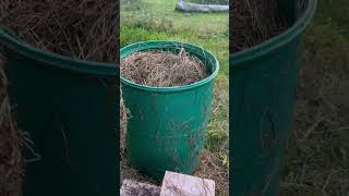 Making a fast compost pile [upl. by Nayt]