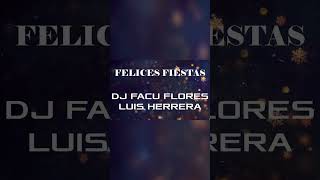 FELICES FIESTA 2023 DJ FACU FLORES PERCUSION LUIS HERRERA [upl. by Tore]