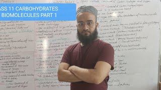 CLASS 11  CARBOHYDRATES  शर्करा  BIOMOLECULES  जैव अणु  PART 1 [upl. by Ahsiet]