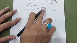 EICOSANOIDS SYNTHESIS AND FUNCTION WITH EASY MNEMONICSbiochemistry carbohydrate nmdc dr mbbs [upl. by Thier]