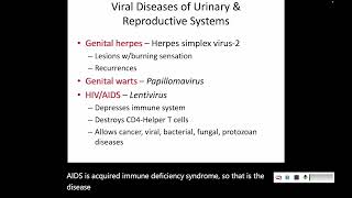 26 Diseases of Urinary and Reproductive Systems [upl. by Nashom]