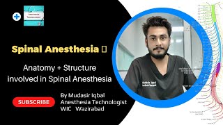 Spinal Anesthesia  Anatomy and Structure involved in Spinal Anesthesia in Urdu Hindi [upl. by Lesli213]