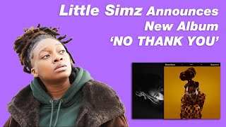 LITTLE SIMZ ANNOUNCES NEW ALBUM NO THANK YOU A Follow Up to Sometimes I Might Be Introvert [upl. by Yacov]