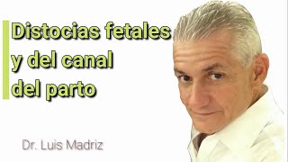 DISTOCIAS fetales y del canal del parto [upl. by Vachil872]