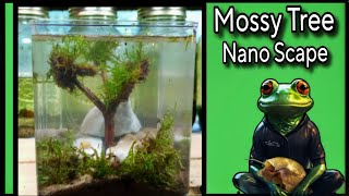 Aquascaping Guide Moss and Bladder Snails [upl. by Ella]