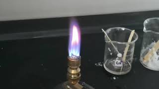 Qualitative analysis cations the flame test [upl. by Atnohs732]