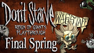 Wagstaff  Final Spring Dont Starve Reign of Giants Playthrough Ep14 [upl. by Walden]