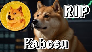 DOGE🪙🥺 PRZESZŁOŚĆ I PRZYSZŁOŚĆ NAJWIĘKSZEGO MEME COINA [upl. by Gilcrest469]