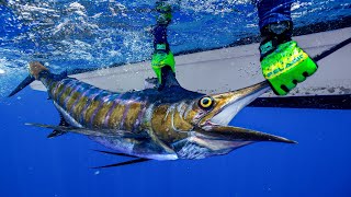 The 100000 Fish… DEEP SEA Marlin Fishing in Belize [upl. by Oinolopa]