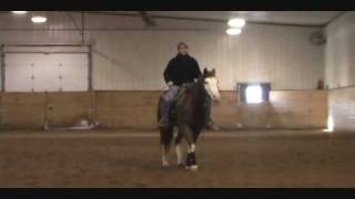 Western Pleasure Training with Jamie Novak part 1 [upl. by Storer538]