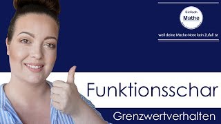 Grenzwertverhalten bei Funktionsscharen  Limes by einfach mathe [upl. by Yeung]