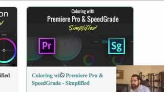 Color Correction in Adobe Premiere Pro  Advanced Class 01  اردو  हिंदी [upl. by Halda]